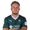 Player cutout