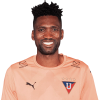 Player cutout