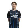 Player cutout