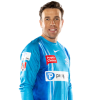 Player cutout