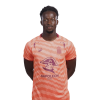 Player cutout