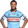 Player cutout