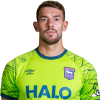 Player cutout