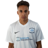 Player cutout