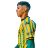 Player cutout