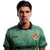 Player cutout