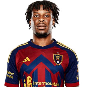 Chukwuemeka Somto Eneli profile image