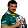 Player cutout