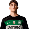 Player cutout