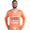 Player cutout
