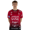 Player cutout