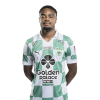 Player cutout