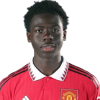 Player cutout