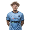 Player cutout