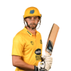 Player cutout