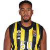 Player cutout