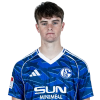 Player cutout