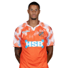 Player cutout