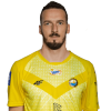 Player cutout