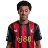 Player cutout