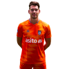 Player cutout