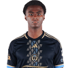Player cutout