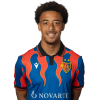 Player cutout