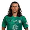 Player cutout