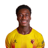 Player cutout