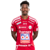 Player cutout