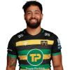 Player cutout