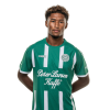 Player cutout