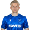Player cutout
