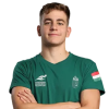 Player cutout