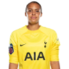 Player cutout