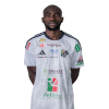 Player cutout