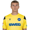 Player cutout