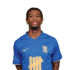 Player cutout