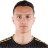 Player cutout