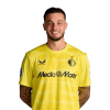 Player cutout
