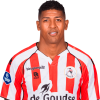 Player cutout