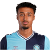 Player cutout