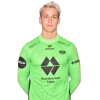 Player cutout