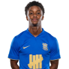 Player cutout