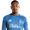 Player cutout