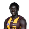 Player cutout