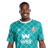 Player cutout
