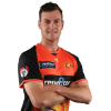 Player cutout