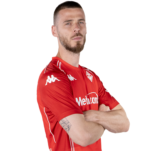 데이비드 데 헤아