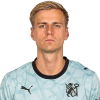 Player cutout
